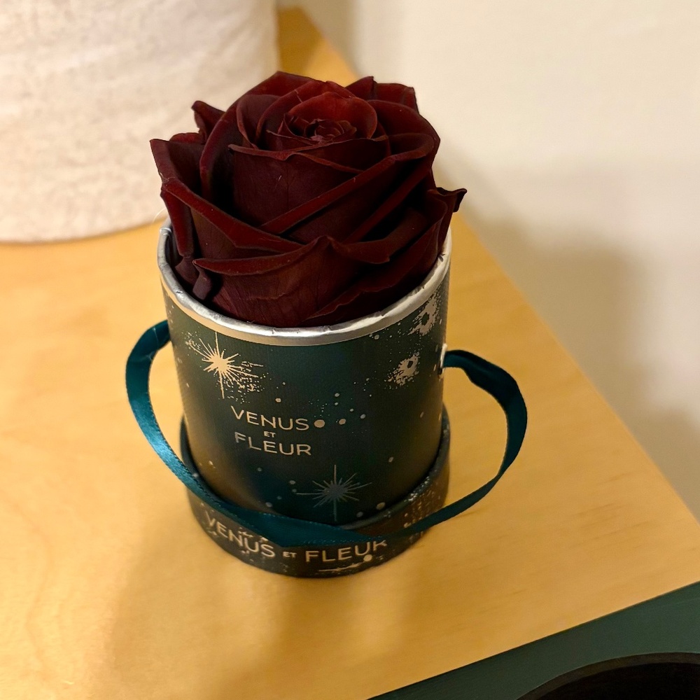 NWT Venus et Fleur Le Mini Round in Céleste and Blackberry Rose